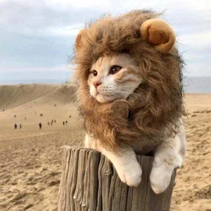 Cute Lion Mane Cat Wig Pet Small Dog Cats Costume Lion Mane Wig Cap Hat for Cat Dogs Fancy Costume C