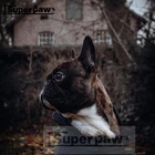 Новое поступление, зимняя тёплая Одежда для собак, для маленьких и средних собак, французский бульдог, корги чихуахуа, Жилет Куртка для домашнего питомца HNC10