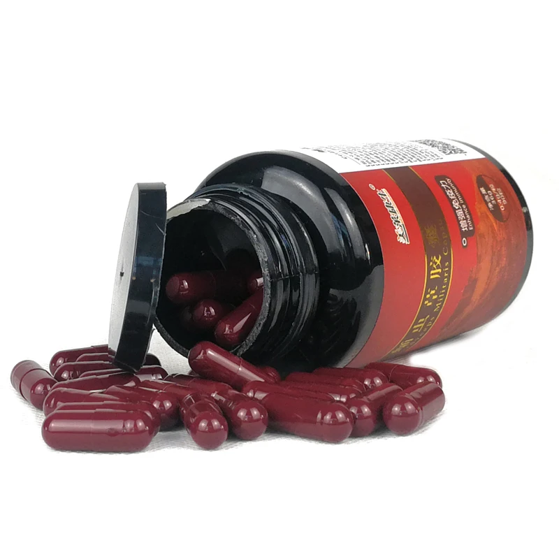 Продукты против усталости дикие Aweto Cordyceps Sinensis экстракт мицелия кордицепс Militaris порошок капсулы очиститель легких
