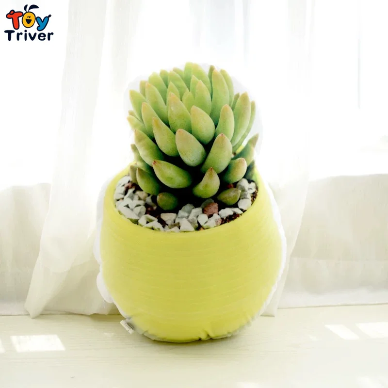 

Flower Aloe Cactus Succulent Plants Plush Toy Stuffed Doll Pillow Sofa Cushion Kids Children Girls Adult Toys Gift Room Decor