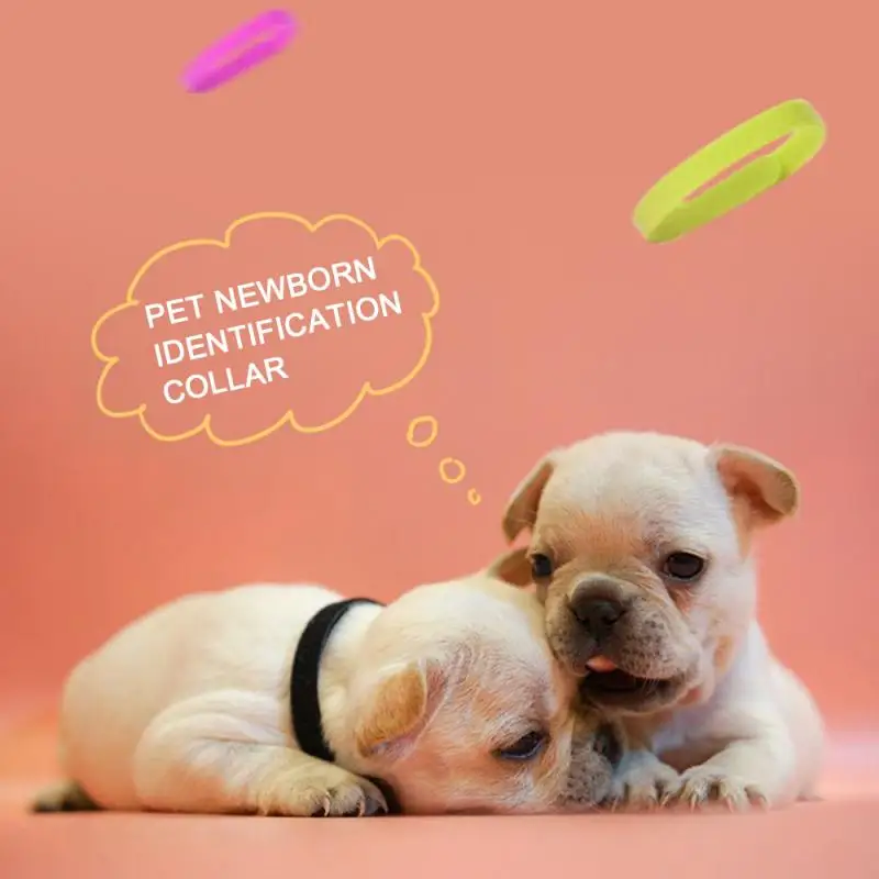 Ошейник с идентификацией для домашних животных 12 цветов | Дом и сад