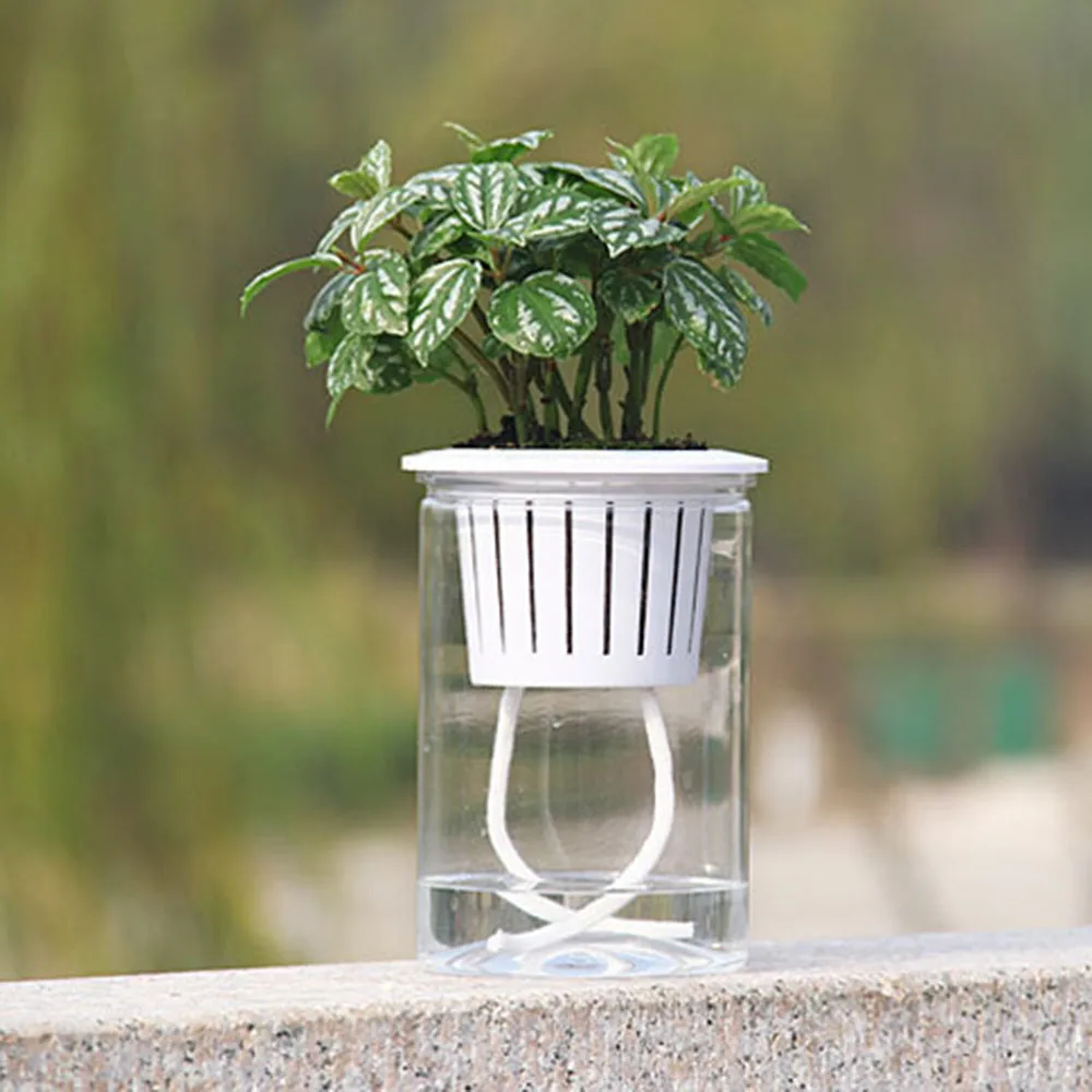 Прозрачный Настольный горшок для растений украшение окна дома и улицы |