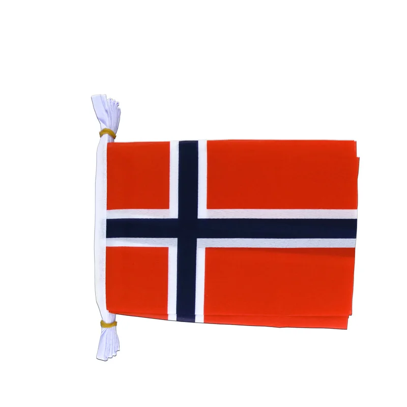 

MORNING 14*21cm 20pcs Norway national bunting flag