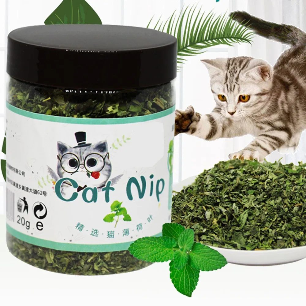 Натуральная кошачья мята премиум класса натуральная Органическая трава для
