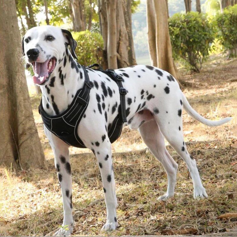 

Reflective Nylon Dog Harness Vest Adjustable Outdoor Pet Harnesses For Medium Large Dog Breathable Mesh Pet Dog Collar Harness