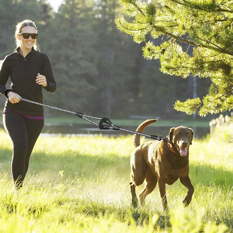 Прочный поводок для собак с двойной ручкой удобной мягкой и светоотражающей