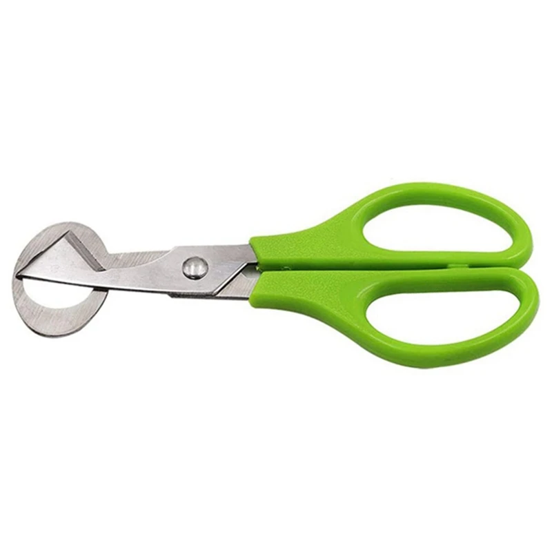 20Pcs Birds Quail Egg Scissors Pigeon Cutting Opener Cutter Kitchen Cracker Clipper Shear Knife Blade Slicers Gadgets |
