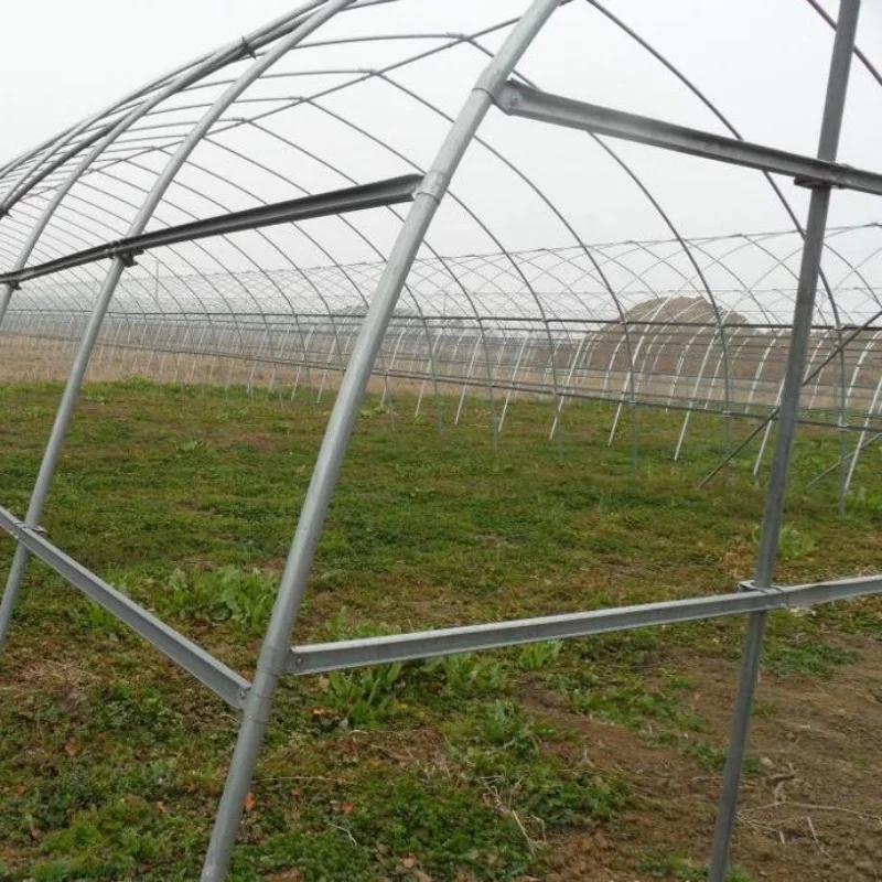 Рисунок 5 - Туннельная теплица для овощей