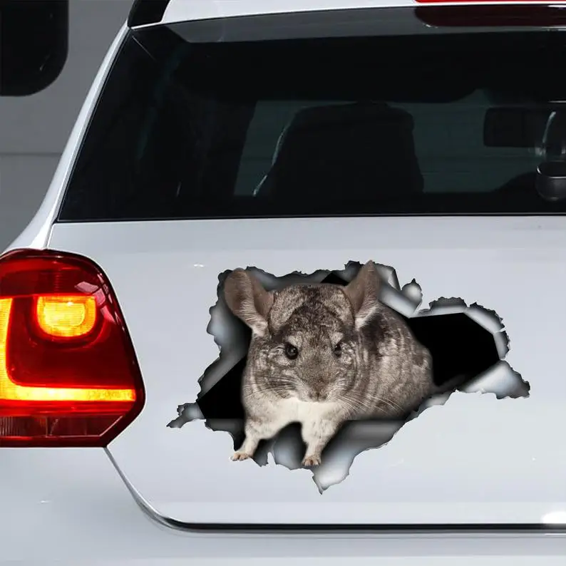

Chinchilla car decal, chinchilla car magnet, chinchilla sticker