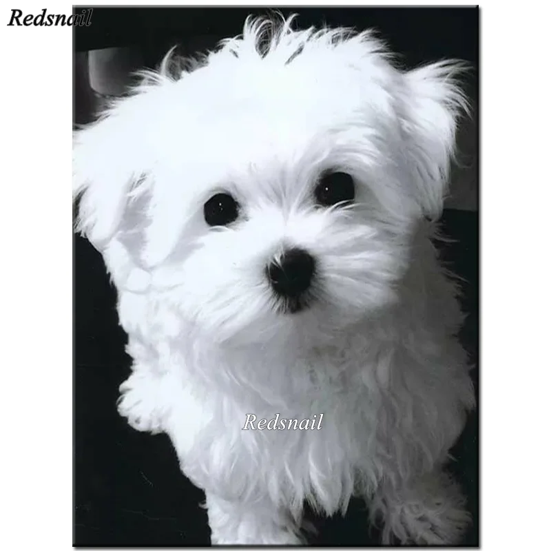Full drill Animal dog Diamond Embroidery pet diy Painting Mosaic picture of rhinestone home decor wihte Maltese YY2405 | Дом и сад