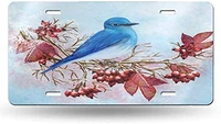 yunsu winter blue bird license platecar decor personalise tagnovelty car front license plate metal aluminum car plate