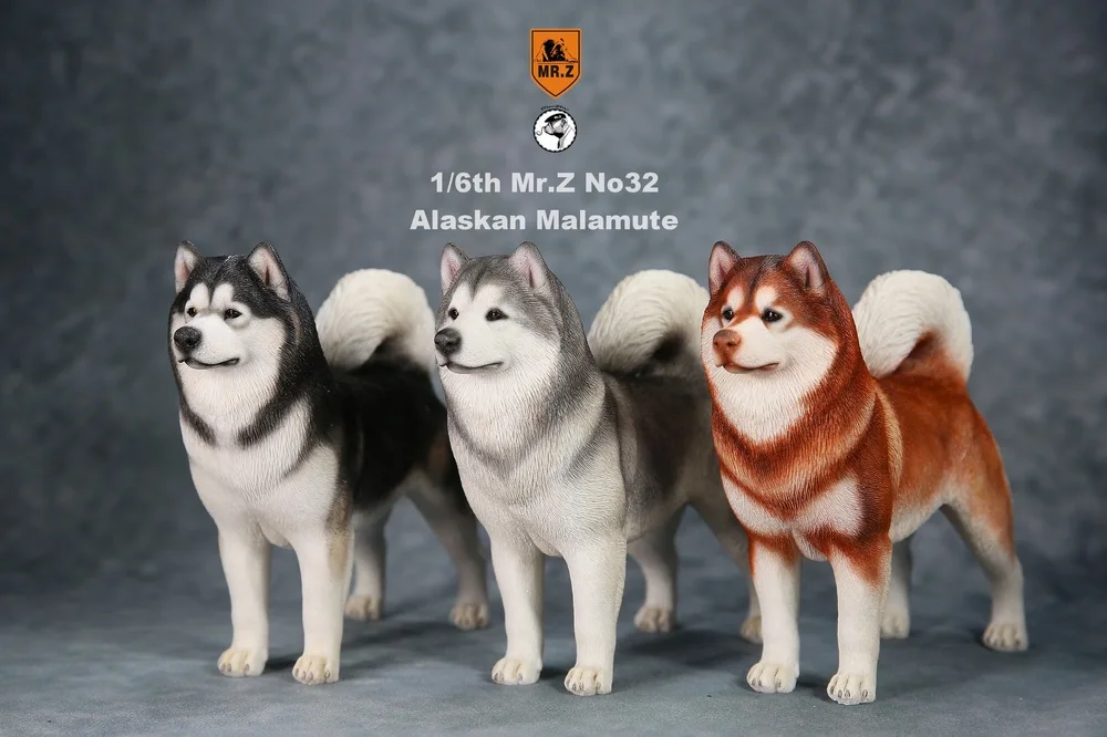 

In Stock Collectible 1/6 Scale Mr.Z No.032 Alaskan Malamute Dog Animal Action Figure Model Toy for 12 inches Action Figure