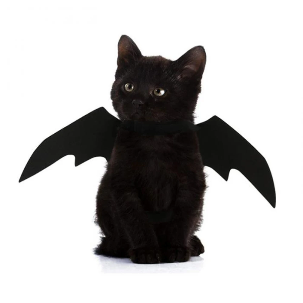 

2021 New OLN Pet Dog Cat Bat Wing Cosplay Prop Halloween Bat Fancy Dress Costume Outfit Wings Cat Costumes Photo Props Headwear