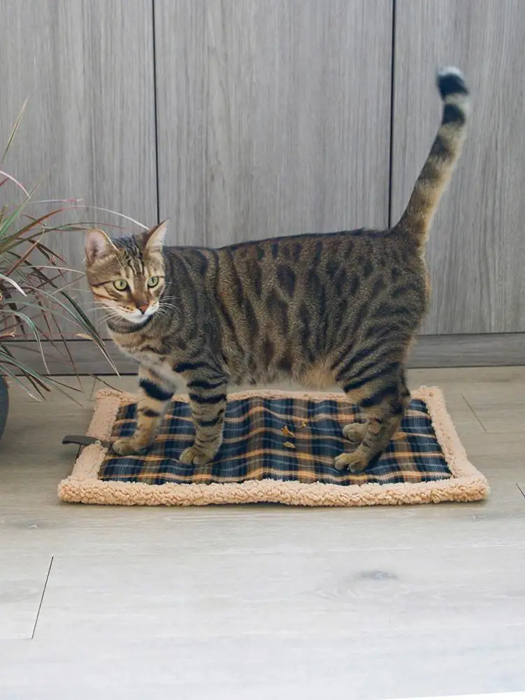 Электрическая грелка для домашних животных собак кошек зимний теплый ковер