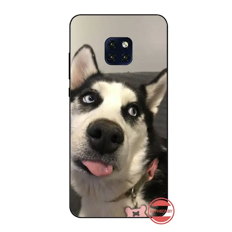 Милый мягкий силиконовый чехол для телефона из ТПУ с изображением собаки хаски