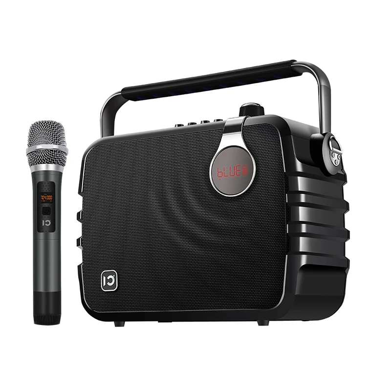 Профессиональный инструмент вход эхо HiFi динамик запись FM радио 60 Вт объемный
