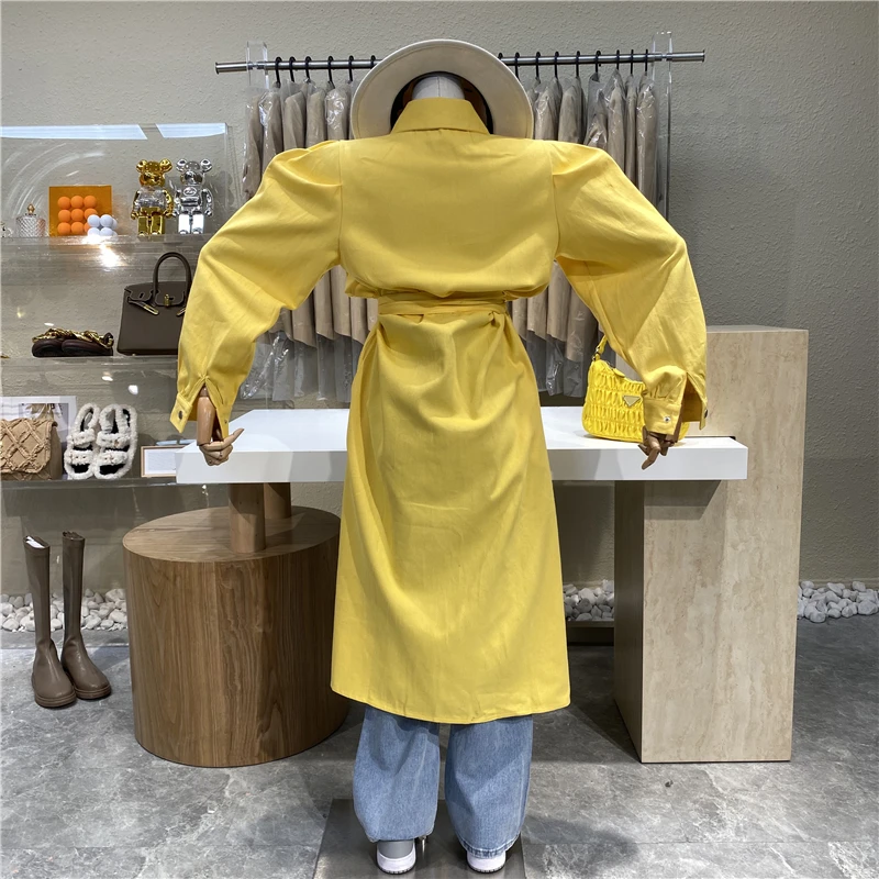 

Niche Design Lapel Single Breasted Tie Waist Long Sleeve Shirt Skirt Women Bubble Sleeve Double Pocket Long Dress