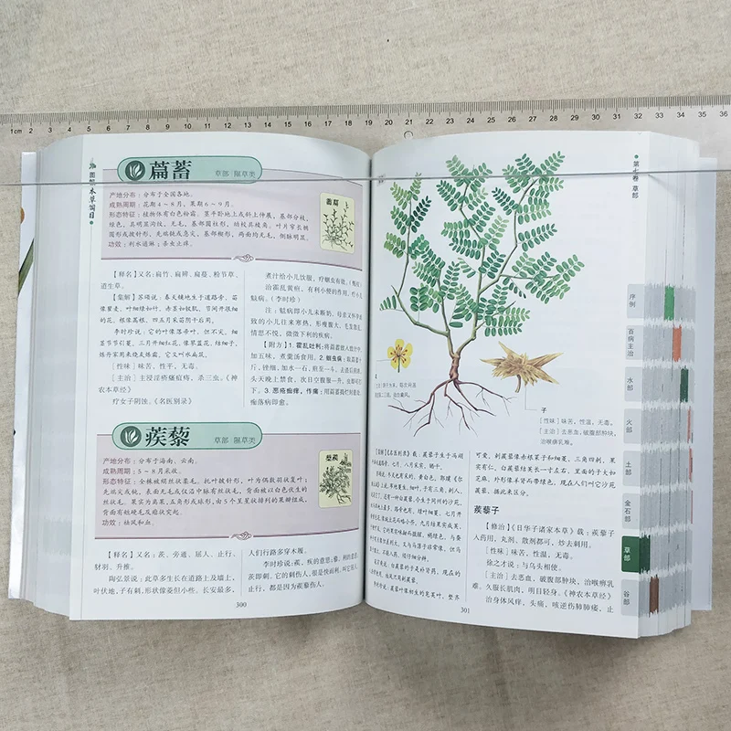 Новый графический Компендиум материала медицинский Традиционный китайский