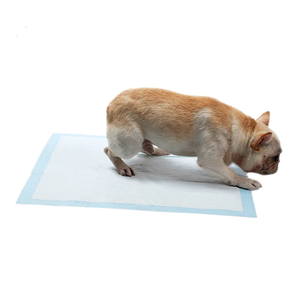 

100/50/40/20Pcs Pack Pet Puppy Disposable Diaper Dog Doggy Cat Diapers Nappy Pads Paper Mat