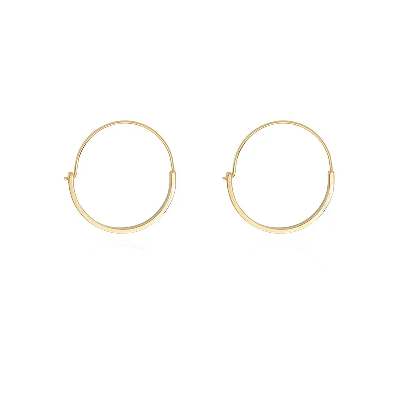 

14K Gold Plated Earring 2021 Trendy Hoop Earrings for Women Simple Fashion Cool Charm High Quality Wedding Jewelry Gift