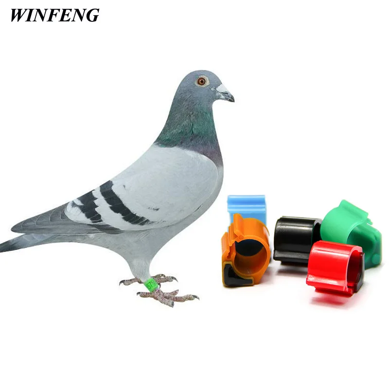 100 шт./лот водонепроницаемая бирка с кольцом для ног в виде птицы голубей из АБС