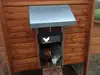 Изображение товара 1