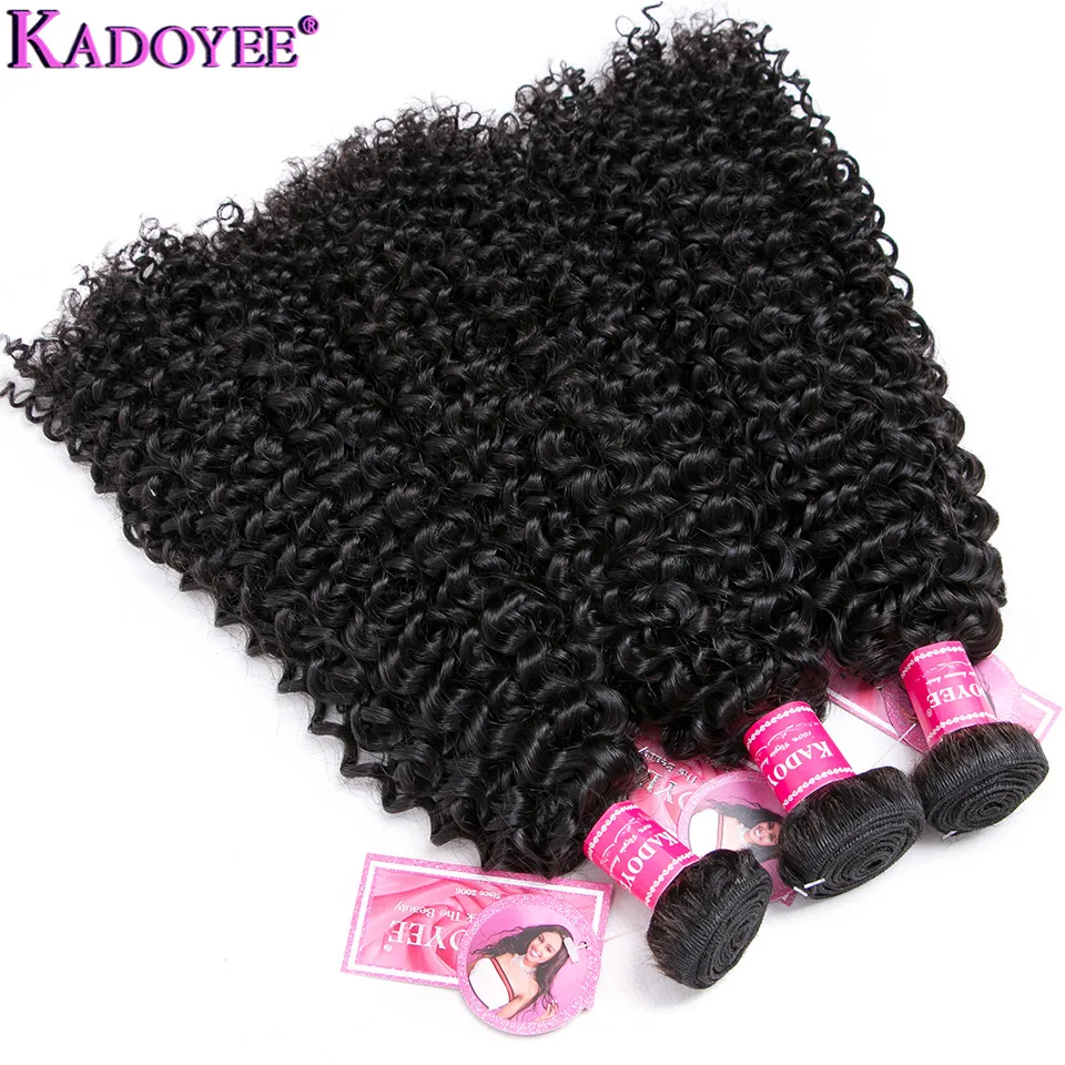 Kinky Curly Bundles With 13x4 Frontal Remy Human Hair 3Bundles With Closure H Brazilian Hair Weave Bundle Extension With Closure