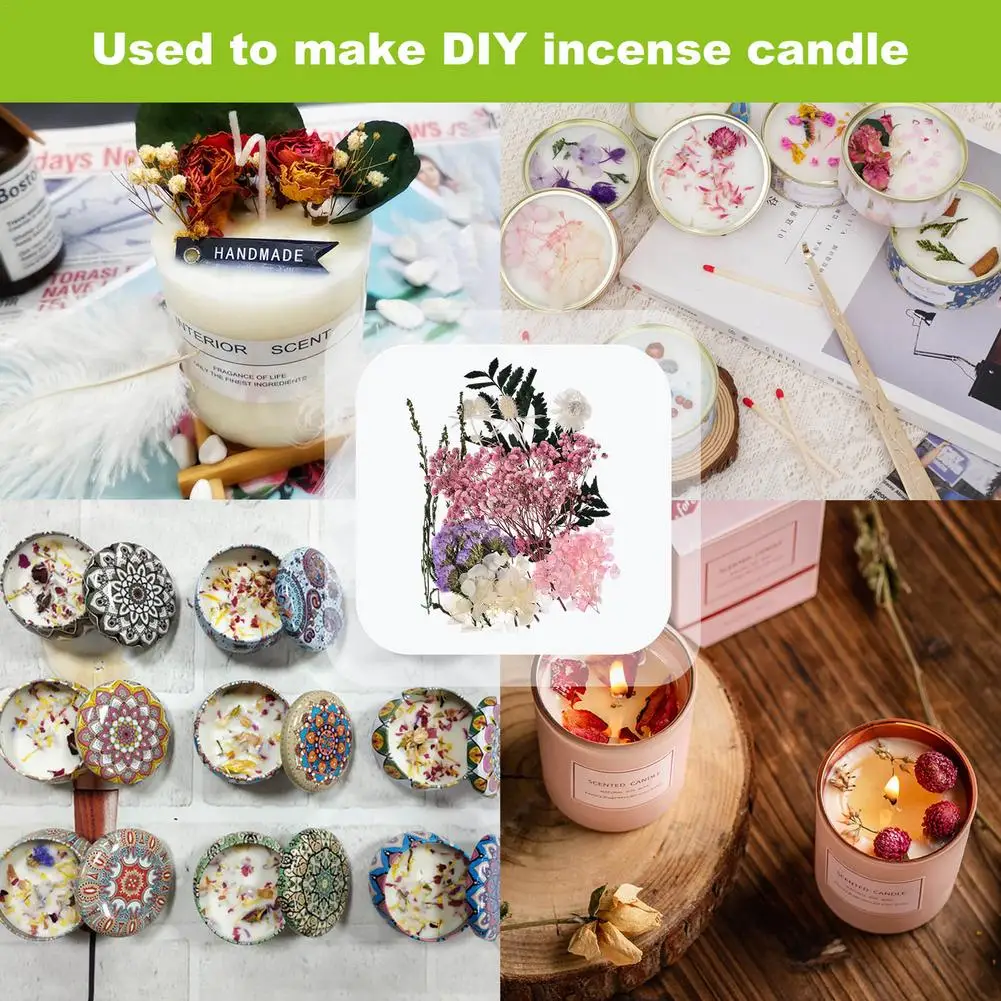 Сушеные прессованные цветы сушеные листья россыпью для самостоятельного