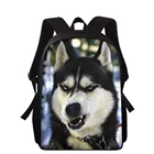 Детская сумка для книг HYCOOL, с изображением собаки, Хаски, От 5 до 12 лет, школьные ранцы для мальчиков, рюкзаки с рисунком лошади