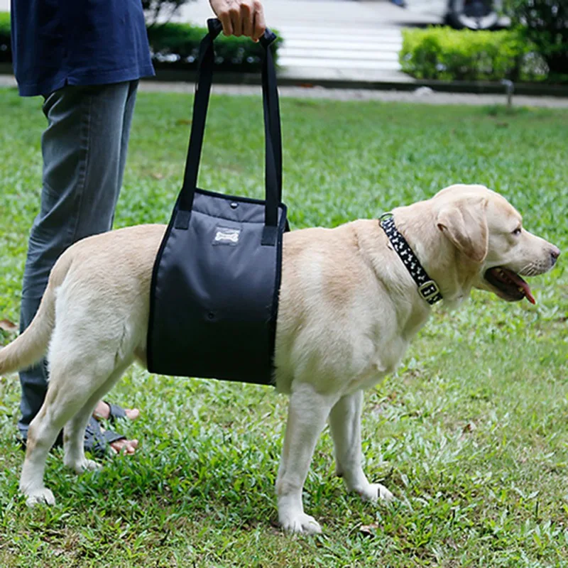 

Portable Dog Sling For Back Legs Hip Support Harness to Help Lift Dogs Rear For Canine Aid and Old Dog Ligament Rehabilitation L