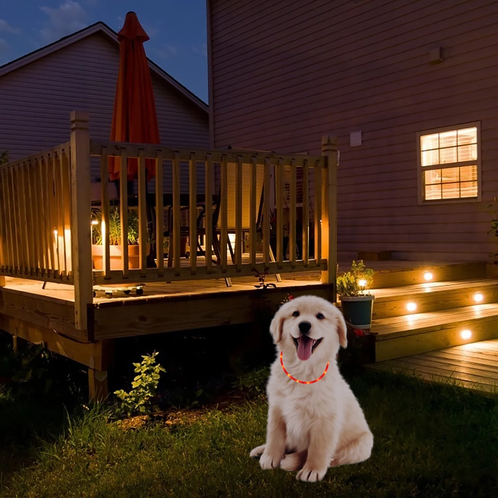 

New Pet Collar Luminous Safety Warning Pet LED Necklace Rechargeable Adjustable Animal Collar