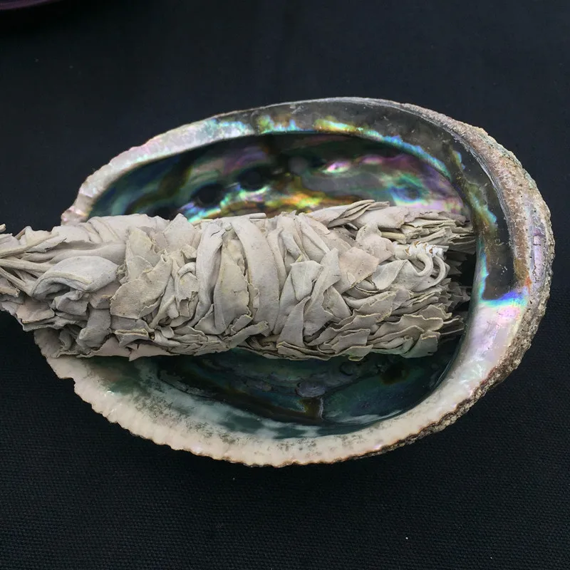 Калифорнийский белый шалот Очищающий лист дыма рассеянная отрицательная