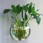 Прозрачное растение, настенный подвесной аквариум, круглая ваза для цветов, горшок, акриловая чаша, пузырьки, аквариум, украшение для дома