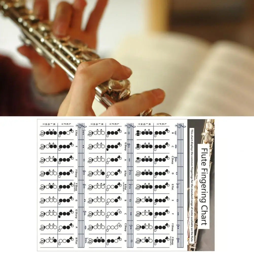 Профессиональная Таблица флейт для гитары таблица измерения пальцев обучения