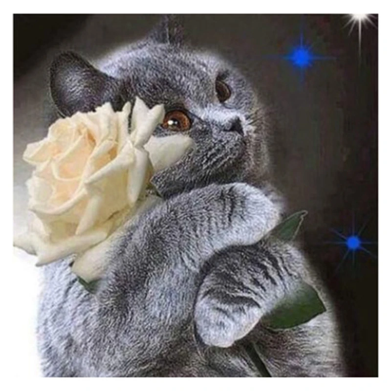 DIY картина с животными вышивка крестиком полная круглая котом и цветами