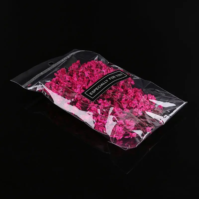 

1 Bag Real Pressed Dried Flowers Floral Plants Embellishments For DIY Scrapbooking Card Making Art Craft Decoration