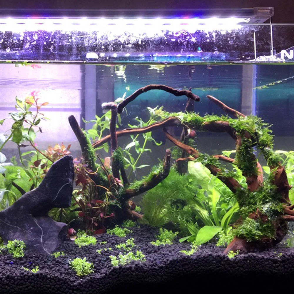 Behogar натуральный плавника аквариум деревянный декор ствол дерева тропических