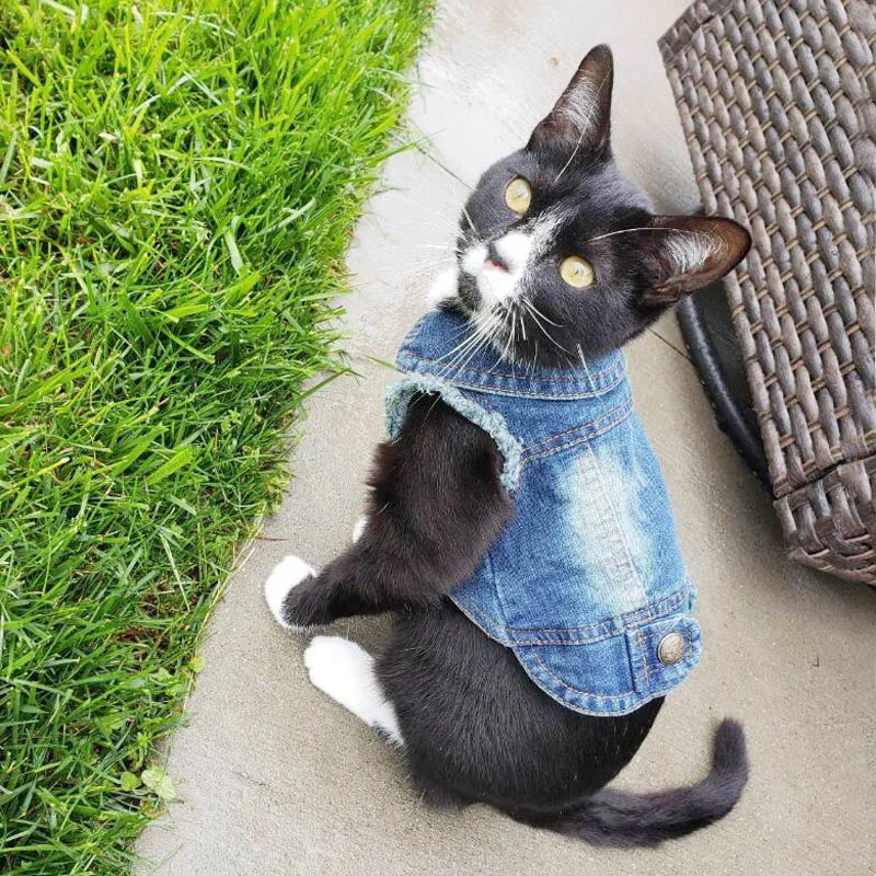 Denim Cat Clothes for Cats Fashion Cat Coat Jacket Warm Outfits Lovely Pet Cat Clothing Casual Jeans Outfits For Dogs Costume