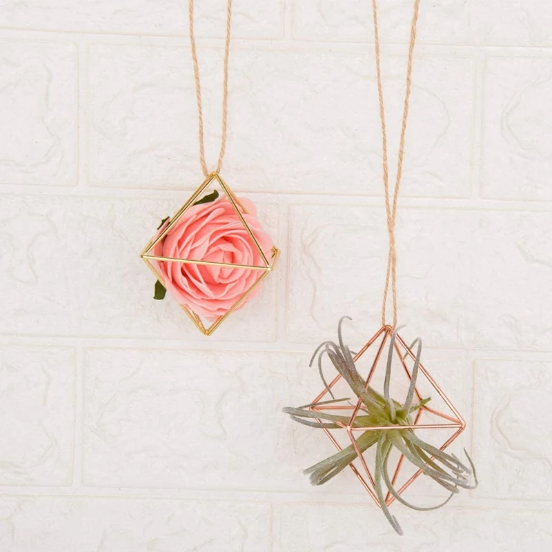 

6 Pack Air Plant Holder Tillandsia Air Plants Stand Hanging Containers Display Racks for Home, Office and Wedding