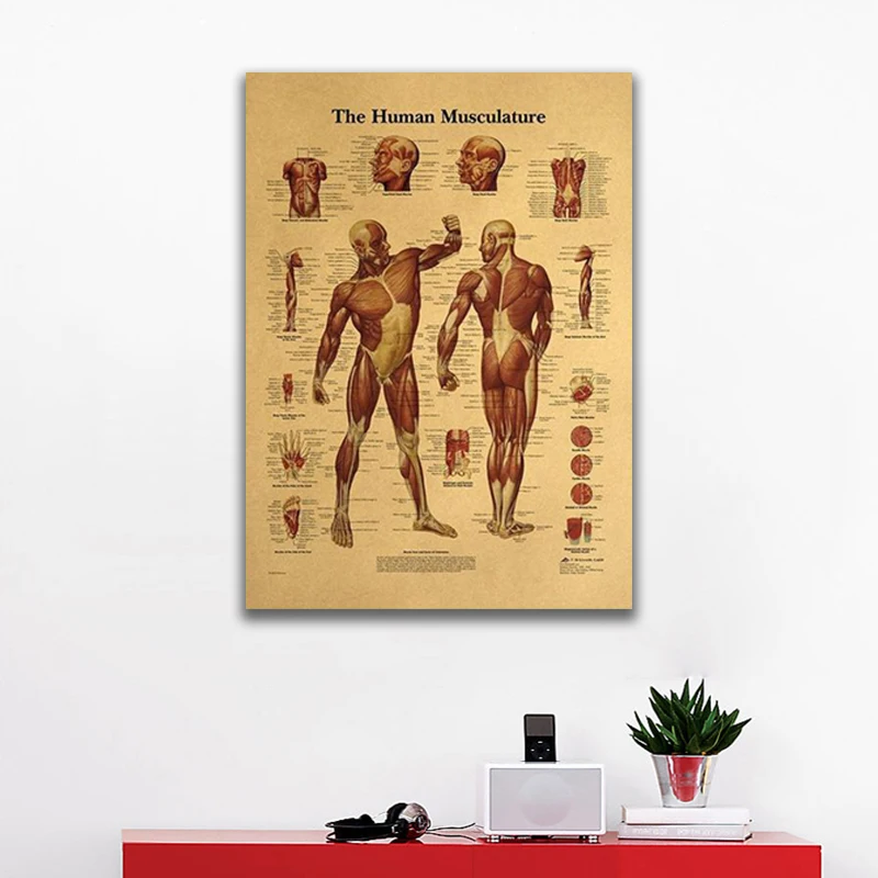 

Human Anatomy Muscle Tissue Canvas Paper Poster Home Room Decoration Painting Core Living Room Bedroom