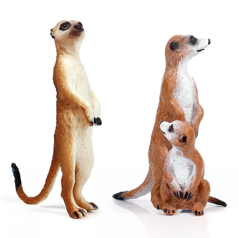Meerkat Животные модель фигурку моделирование диких экшн-фигурки животных