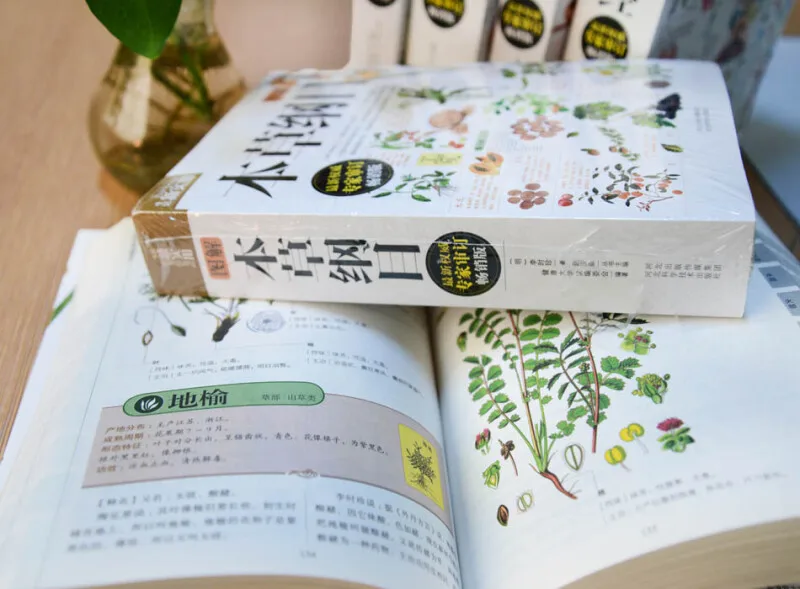 Новый графический Компендиум материала медицинский Традиционный китайский