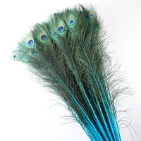 wholesale 70cm 80cm28 32inch natural peacock feathers for wedding accessories diy decoration lake blue feather plumas