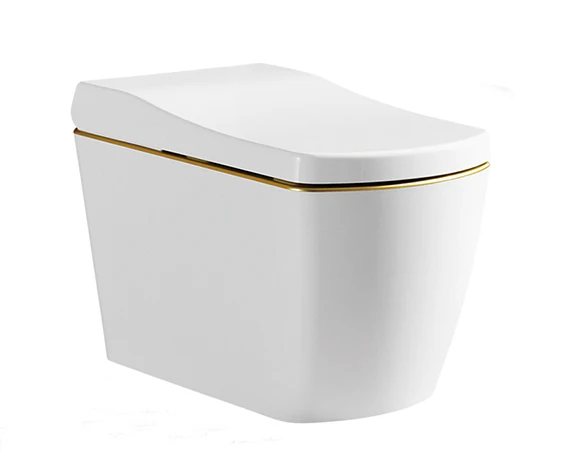 

Japanese Intelligent Toilet