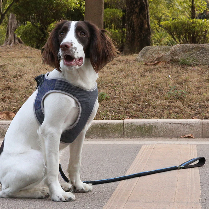 

Reflective Dogs Vest Pet Harness Soft Small Medium Dogs Cats Harness With Leash No Pull Puppy Size Collar S-XL Choke No Teddy