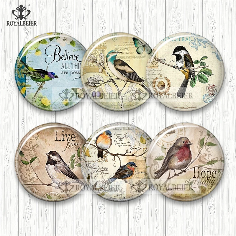 

New Baby Animals Sheep Dog Mouse Bird 10PCS/SET Round Photo Glass Cabochon Demo Flat Back Making Finding