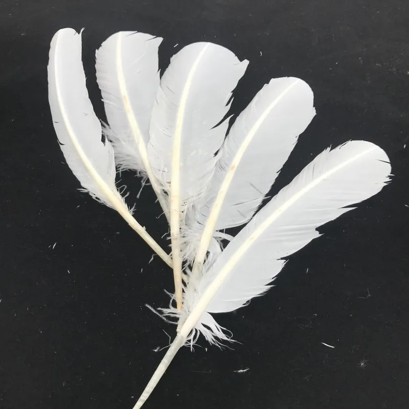 Бесплатная доставка 50 шт./фотосессия красивые белые перья индейки