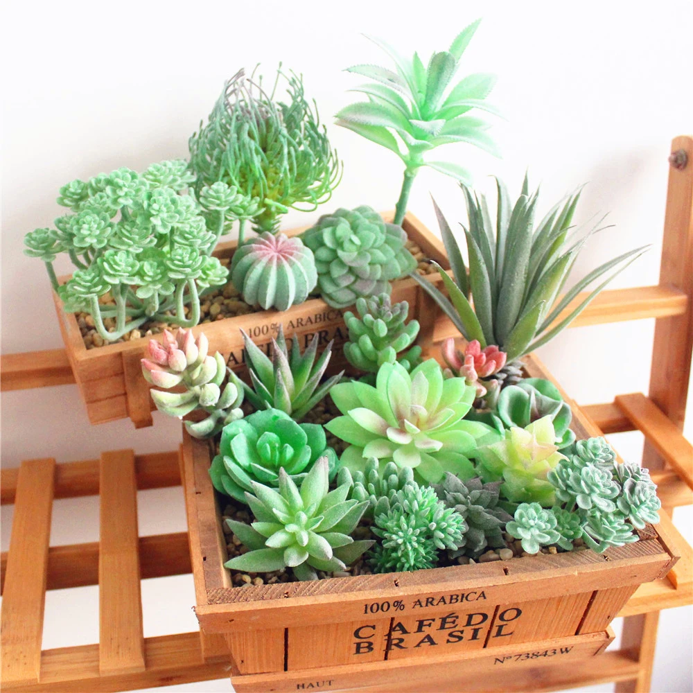 Искусственные мясистые растения Цветочные Мини листва садовый декор