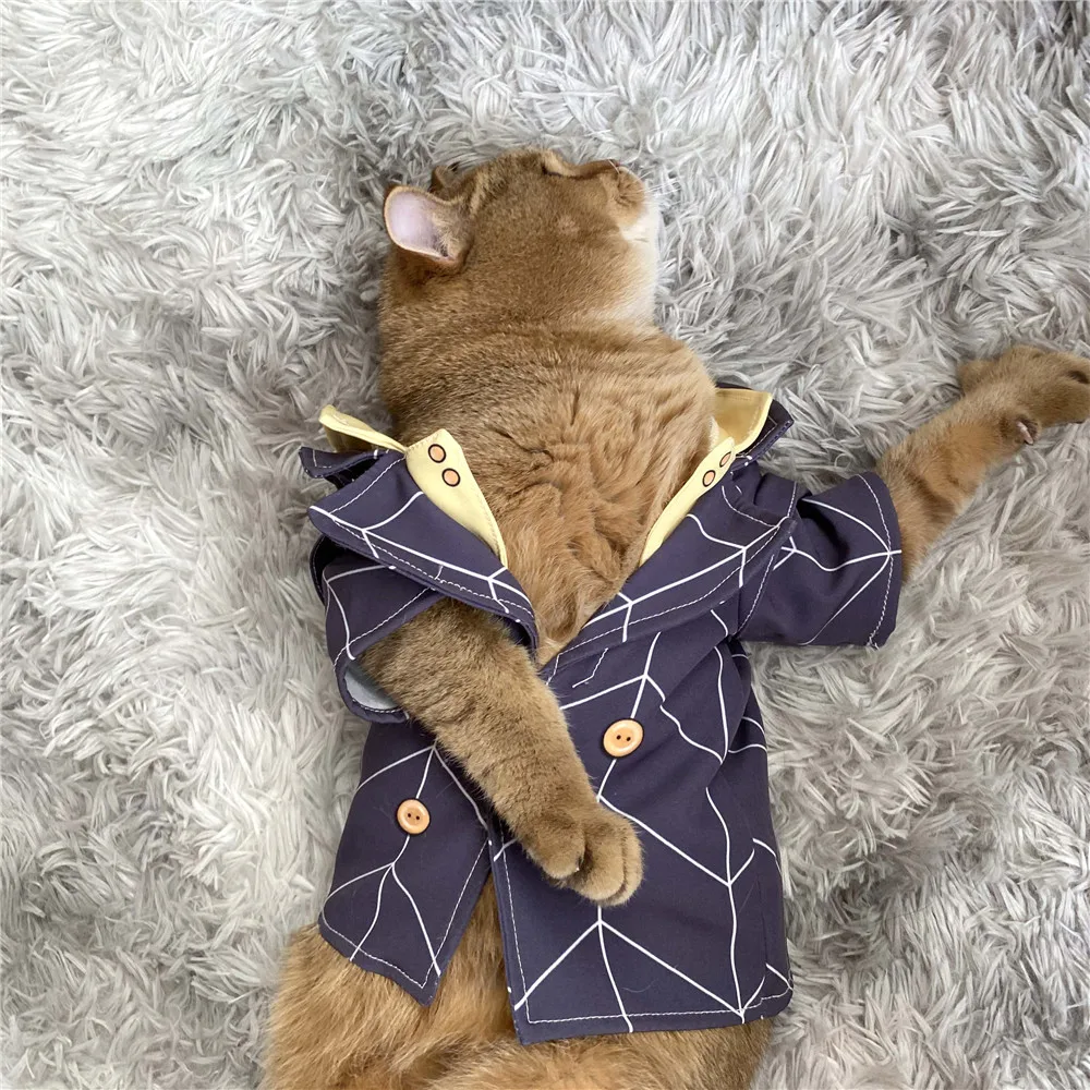 Костюм для косплея абацио из Невероятные приключения Джоджо |