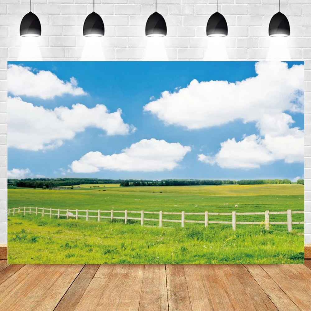 Природный пейзаж Весенняя планга синее небо облака интерьер ребенок портрет